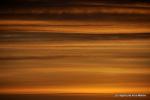 _DSC8872.JPG