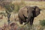 Namibia 2008
