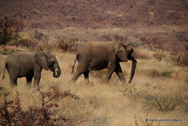 Namibia -394