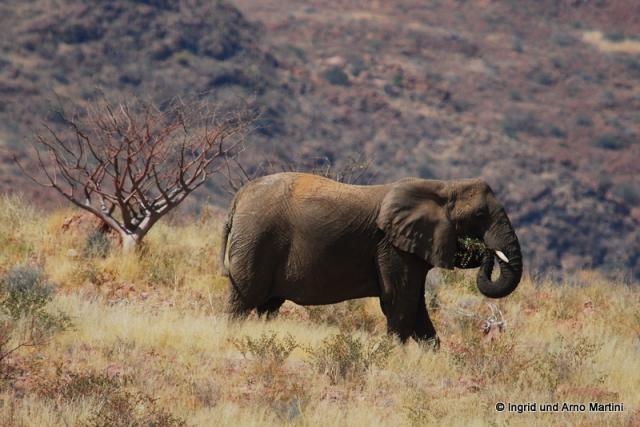 Namibia -396