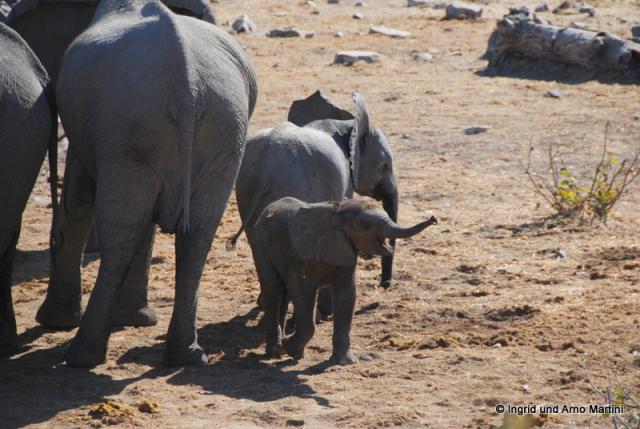 Namibia -578