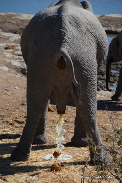 Namibia -580