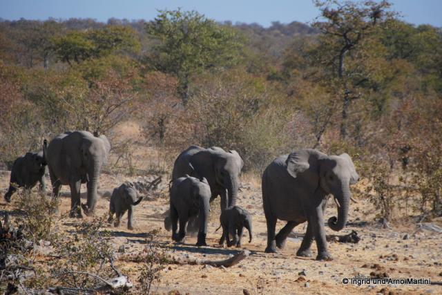 Namibia -581