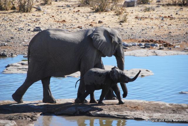 Namibia -582