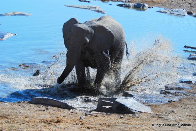 Namibia -586