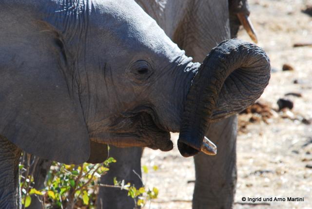 Namibia -587