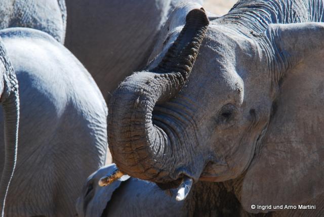 Namibia -588