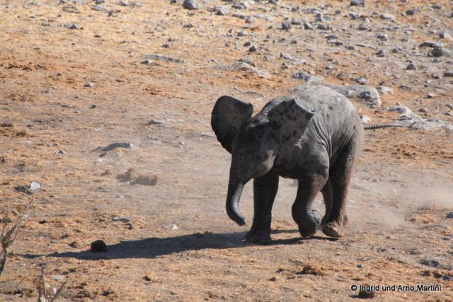 Namibia -589