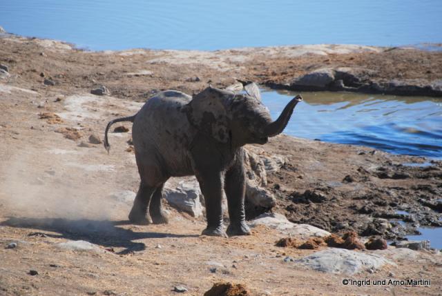 Namibia -590