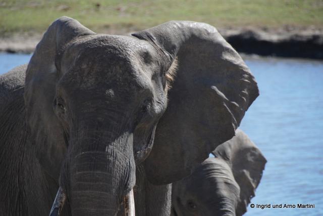 Namibia -802