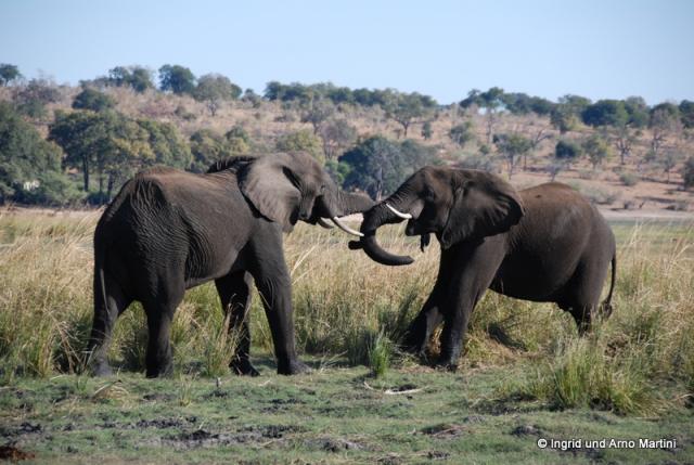 Namibia -865