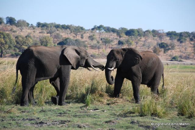 Namibia -866