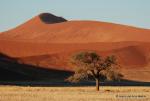 Sossusvlei