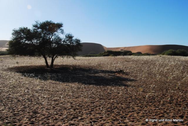 Namibia -173