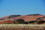 Namibia -174
