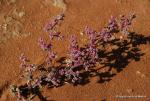 Namibia -180