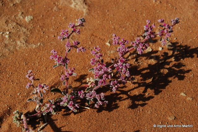 Namibia -180