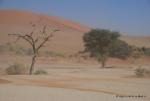 Namibia -182