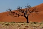 Namibia -183