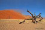 Namibia -193